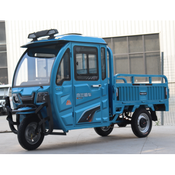 1000W Tricycle électrique Cargo Electric Adult